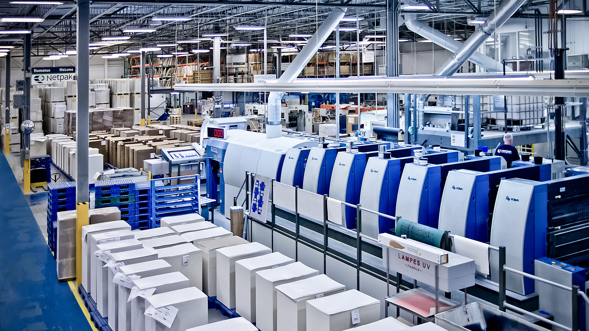How Netpak Has Become a Folding Carton Manufacturer of Choice for Consumer Packaging Companies