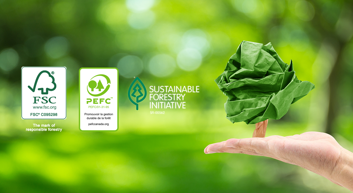 Getting to the Core of Netpak’s Sustainability Certifications